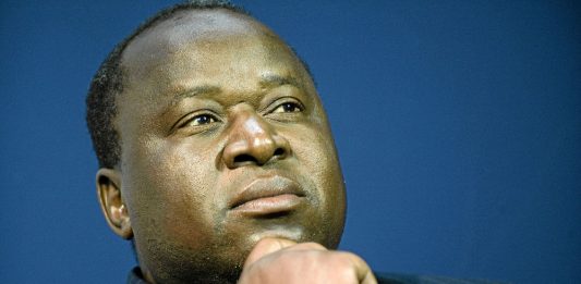 Former South African Reserve Bank governor Tito Mboweni's son was threatened with deportation after a police officer suspected he was a foreigner.