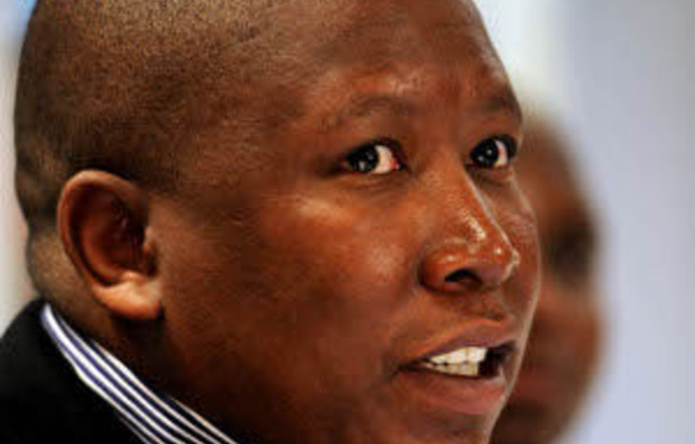 Malema: This land is ore land, this land is my land