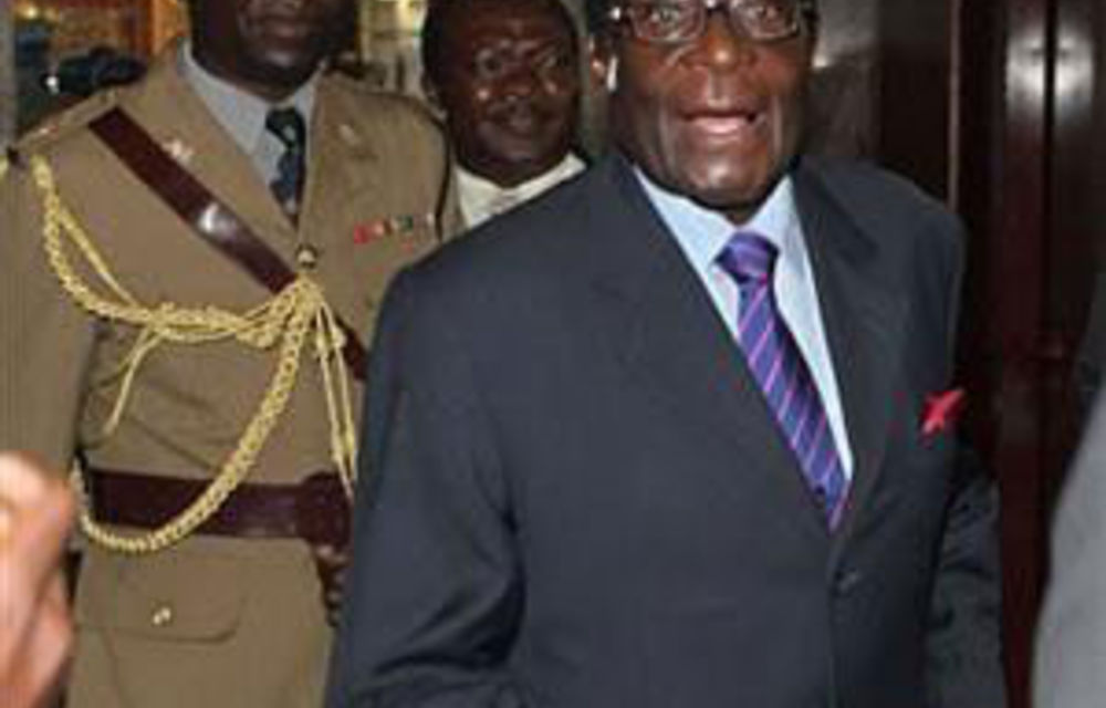 Zim human rights group calls for fair 2011 elections