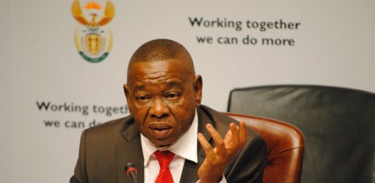 Blade Nzimande says within the next week or two