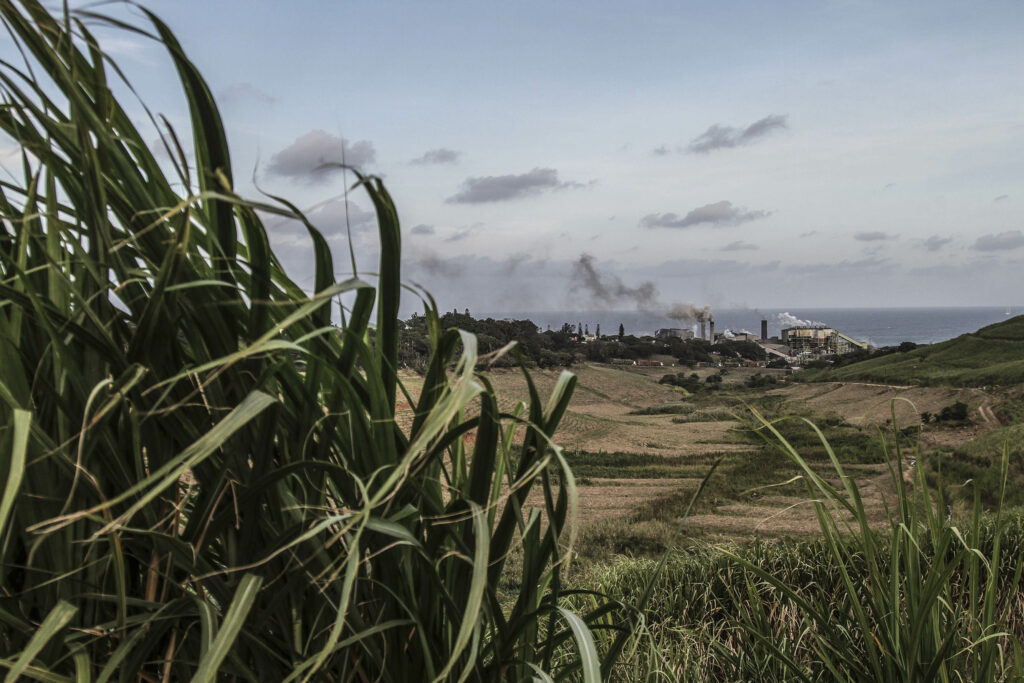SA sugar industry outlook still sour