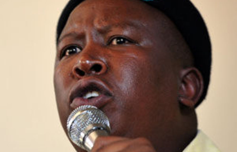 Committee To Make Malema Appeal Decision 'in Due Course'