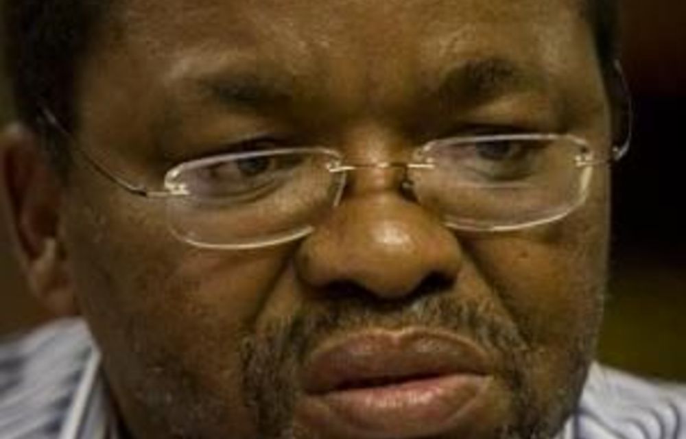 ANC broadens nationalisation debate