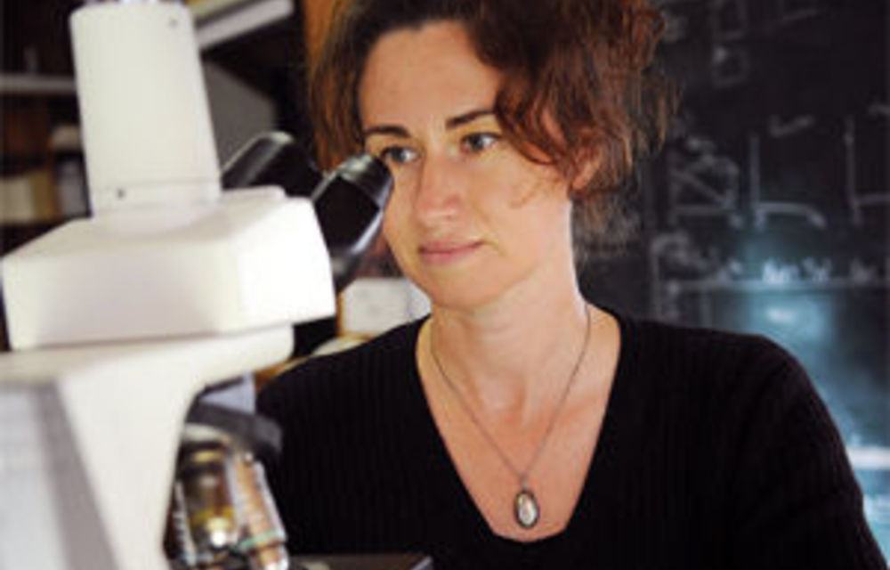 Researchers Turn Back Climate Clock