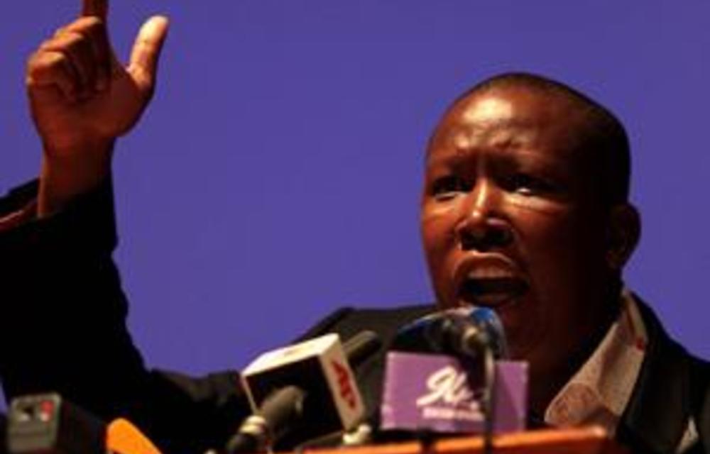 Malema still listed as company director
