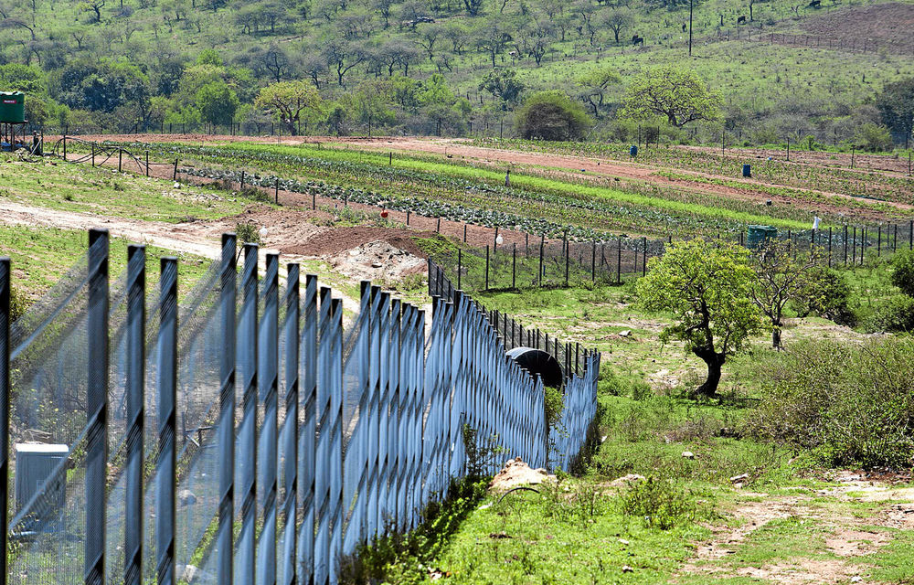 Part of the Nkandla upgrades included security fences