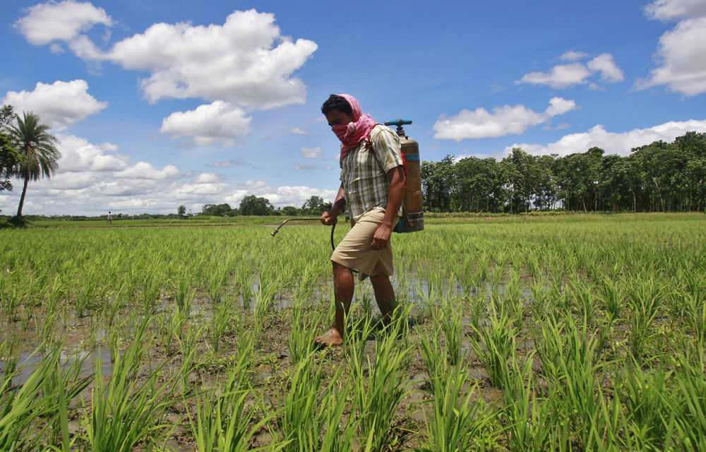 Colombia became the last country in the world to outlaw aerial spraying of glyphosate in 2015.