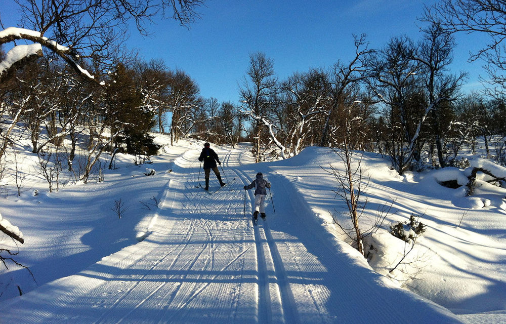 Downhill and cross-country skiing