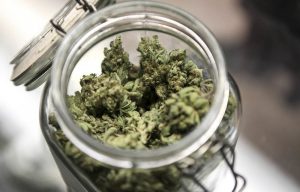 Heads up: Marijuana use is becoming increasingly acceptable in ­Colorado.