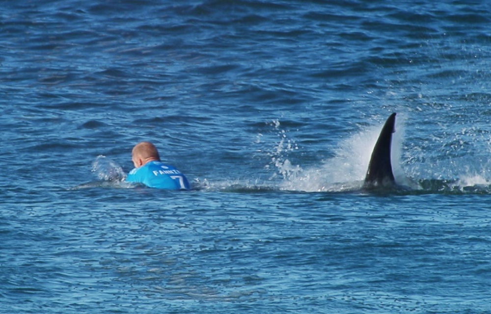 Fanning is attacked by a shark during the final of the J-Bay surf Open on July 19