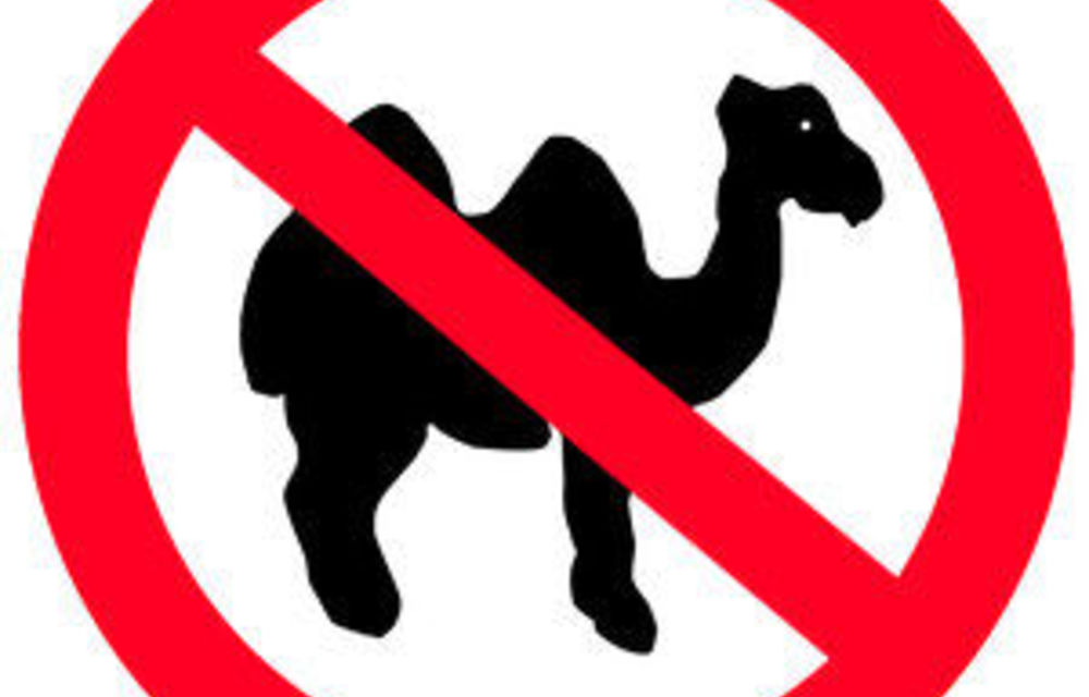 A test article (don’t panic editors)