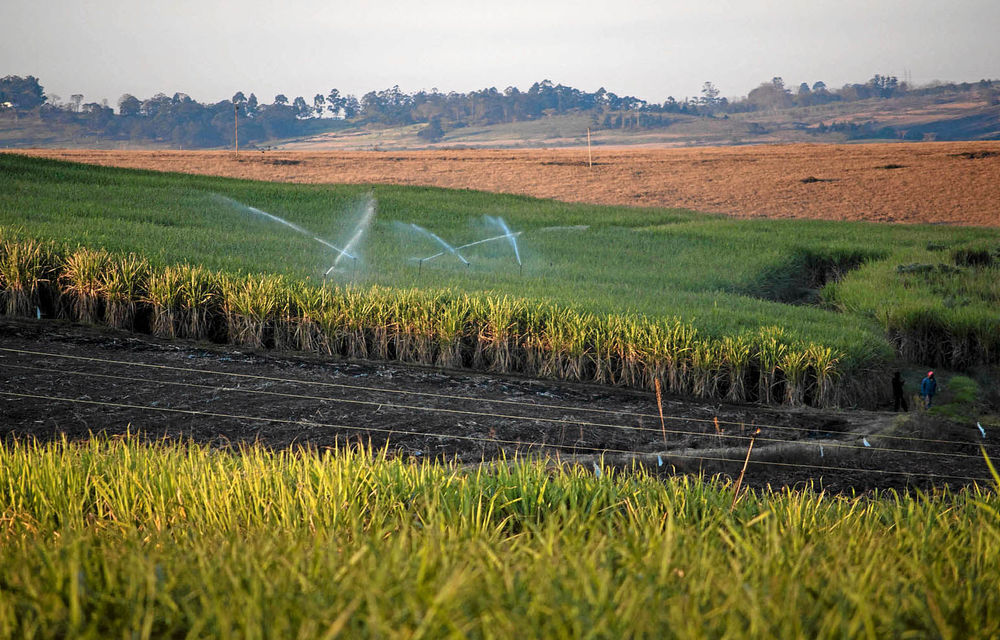 The partnership’s Sustainable Sugarcane Farm Management System has been adopted by the South African Sugar Association.