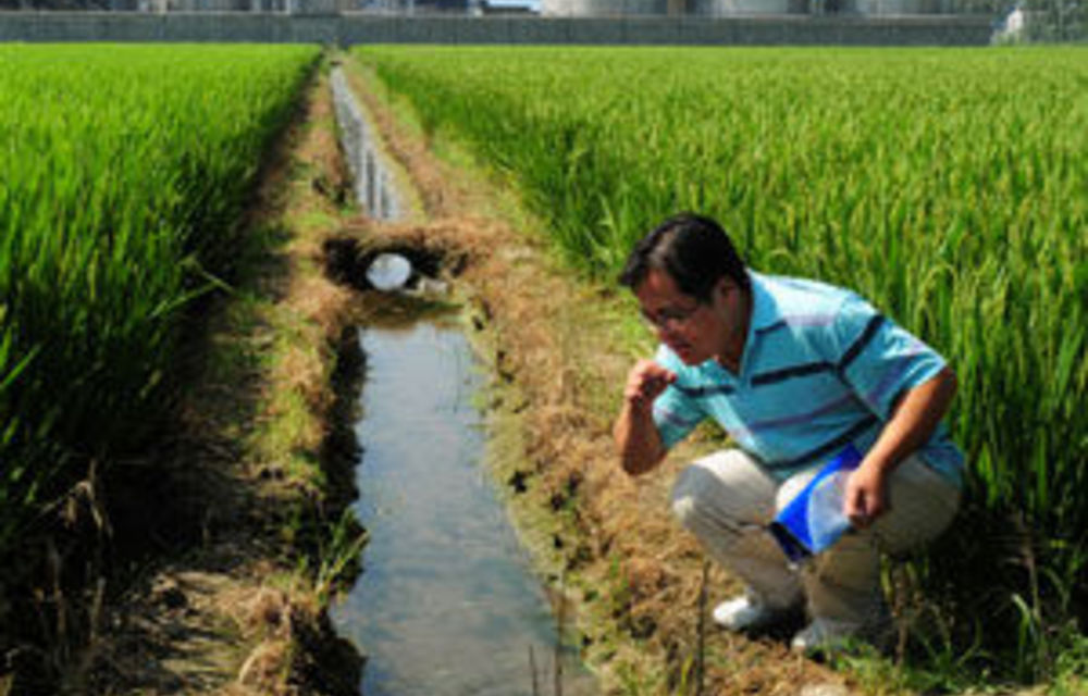 Water panic buying spurred by river pollution in China