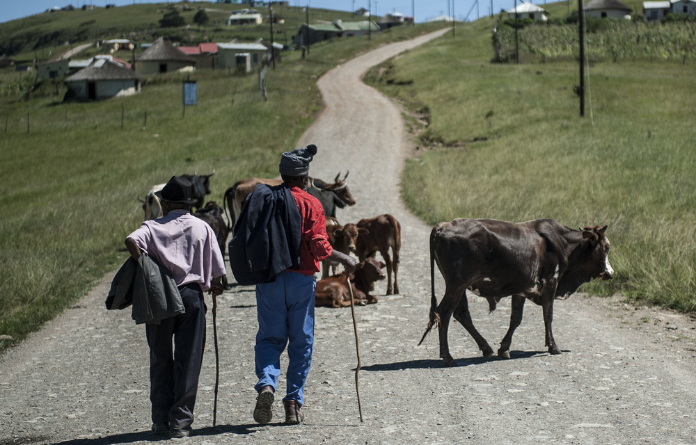 Land reform needs laws and imagination