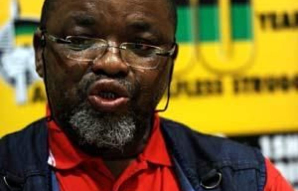 Mantashe says ANC members are ‘bound by policies’