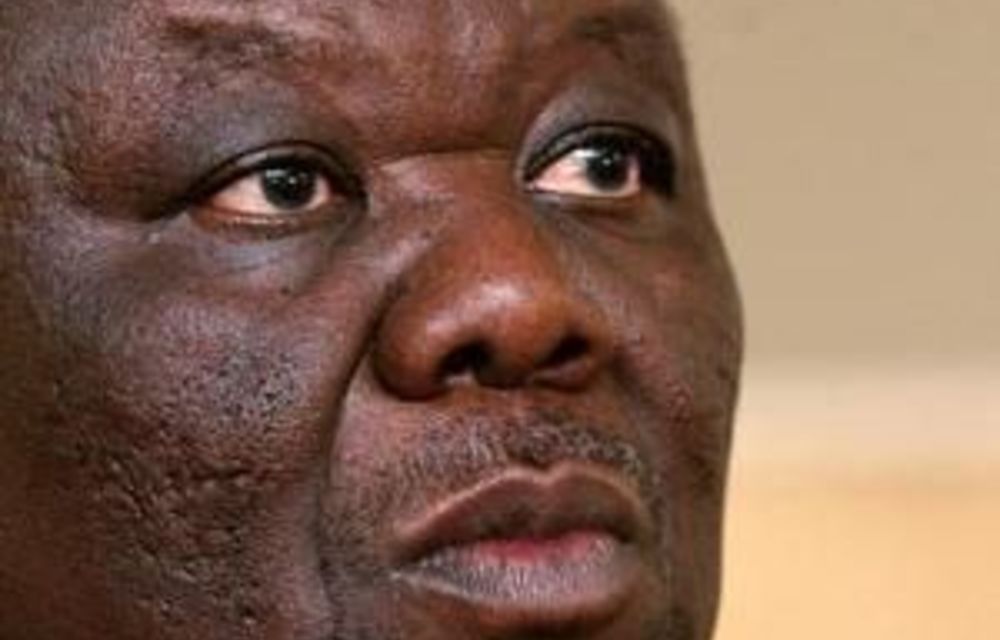 Zim cabinet minister released after ‘severe deprivation’