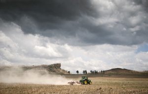 The Far East countries are buying SA’s maize again