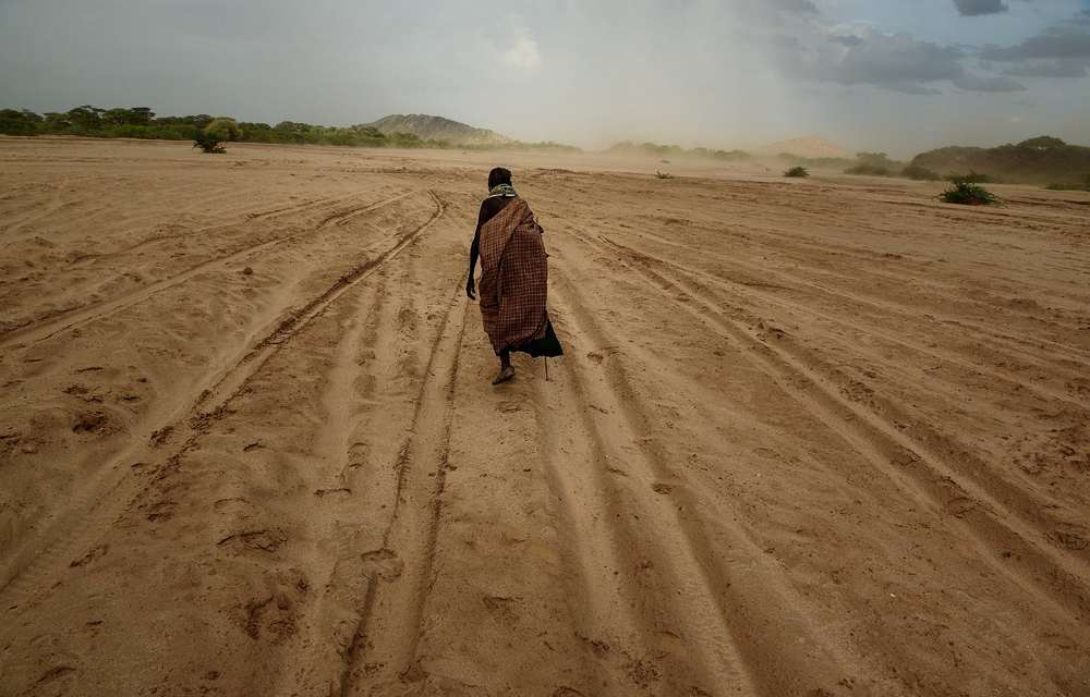 Until poor rural people can eat, wildlife will decline