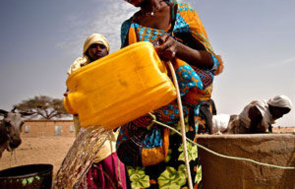 Ngos Plead For Aid As Millions Starve In The Sahel