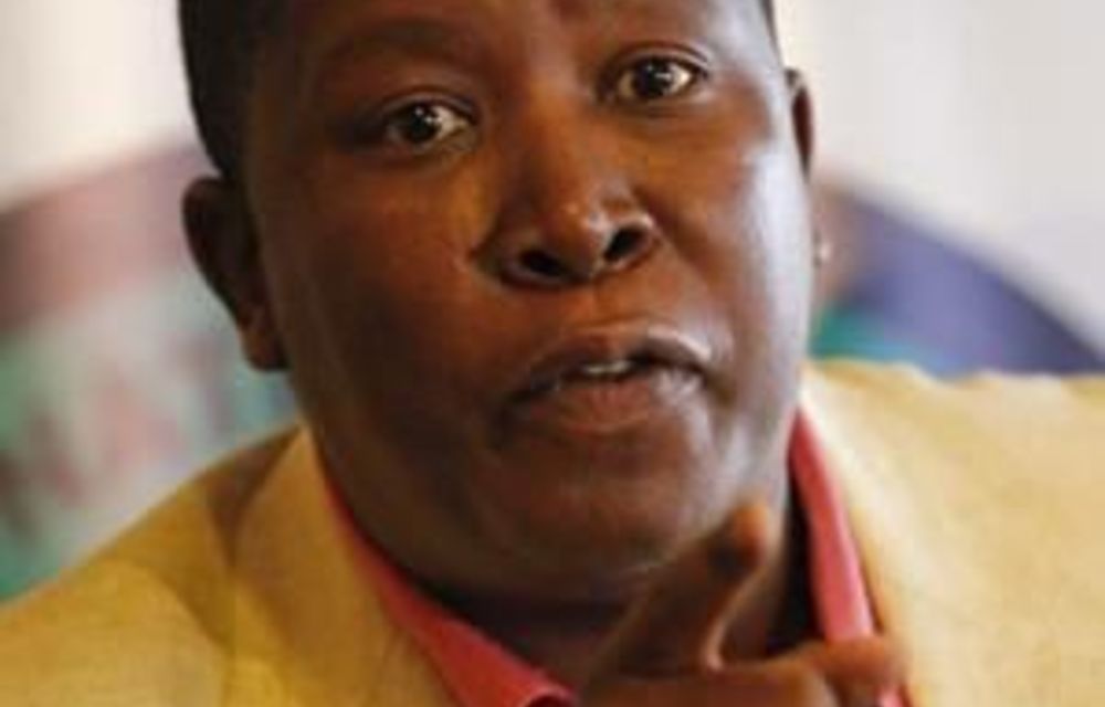 Malema: 'we're Economic Freedom Fighters'