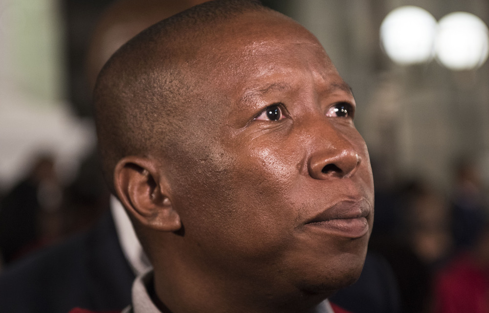 Malema steals the show at Limpopo land hearings