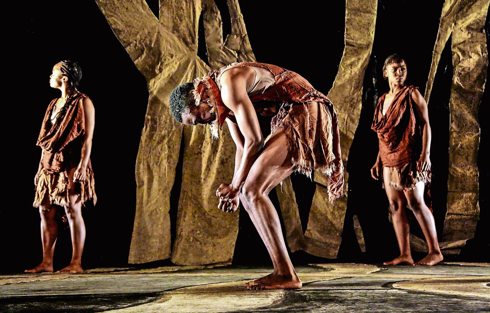 Q&A Luyanda Sidiya: The seeds dance sows