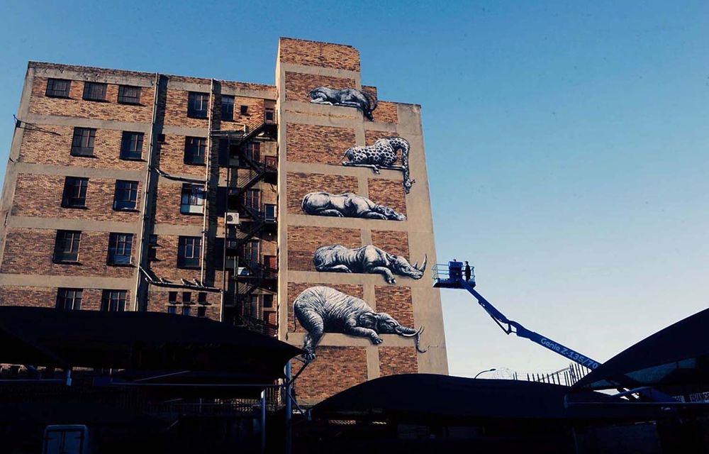 Going wild in the city: Belgian street artist ROA’s collection of animals decorate the side of a Jo’burg building