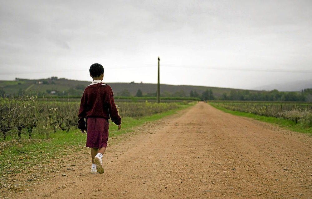 Studies done on school-entry children in Wellington