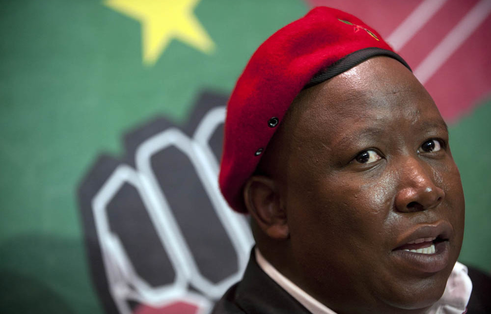 EFF leader Julius Malema.