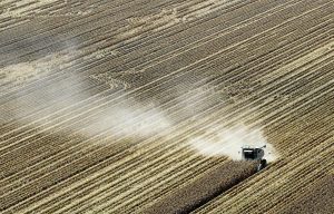 South Africa is the continent's largest producer of maize.