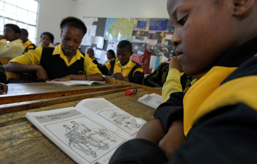 The North Gauteng High Court has been asked to review all 337 contracts for school feeding schemes in Limpopo due to apparent tender irregularities.