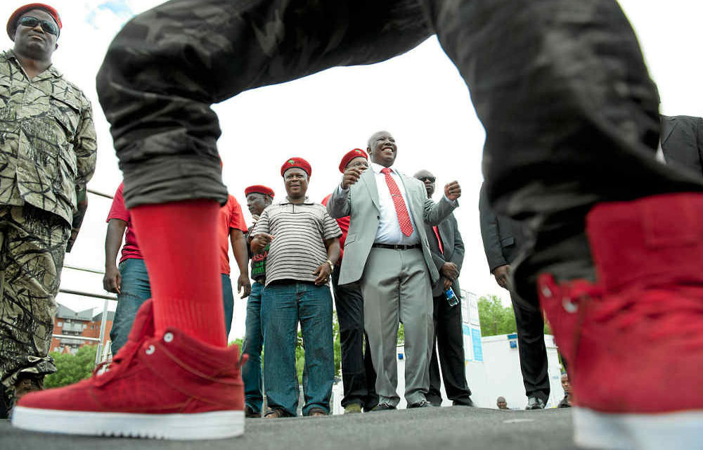 Polar position: EFF leader Julius Malema is loved