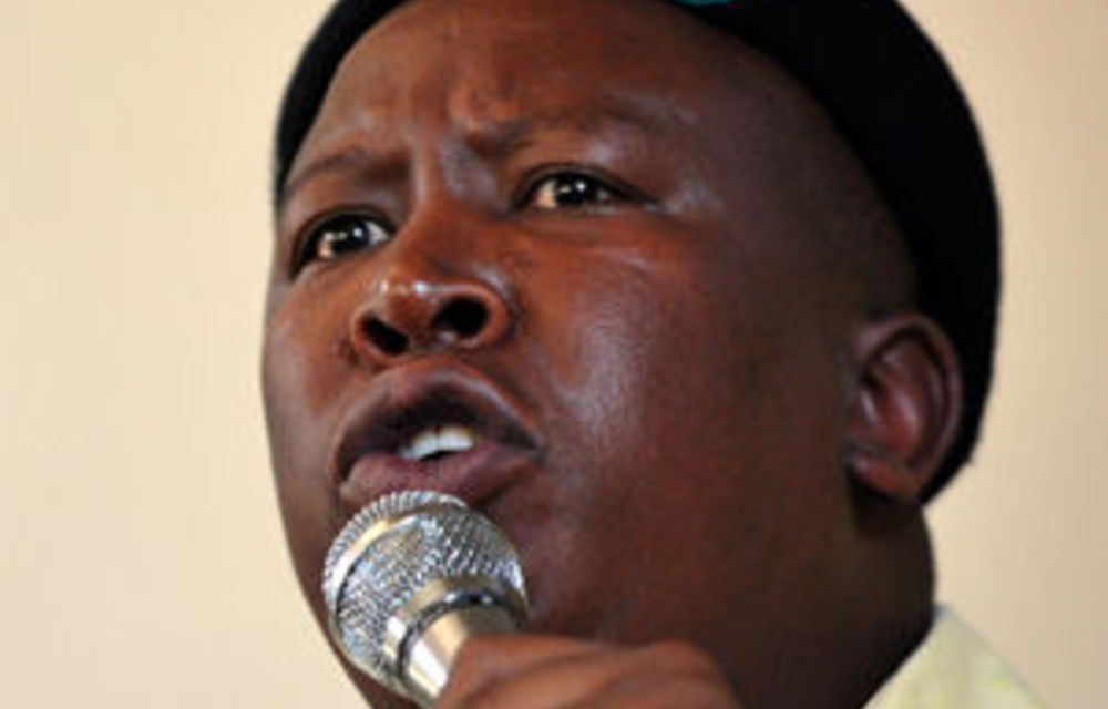 Malema vs ANC: Mitigation process to begin