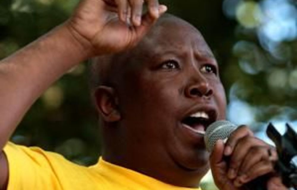 ANC keeps mum about Malema meeting