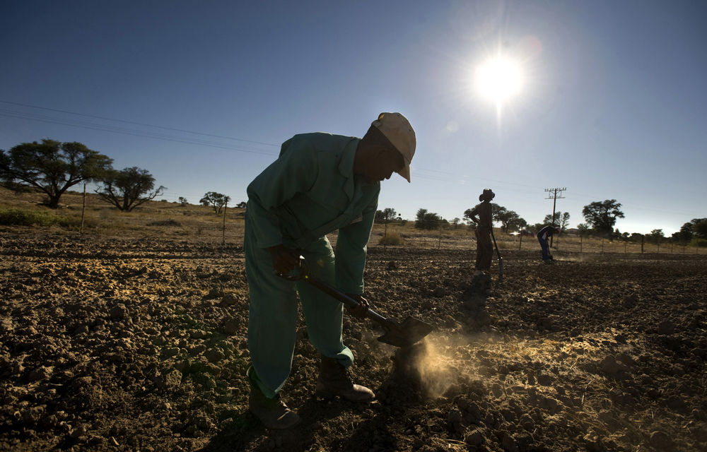 Subsistence Farmers Get A Hand