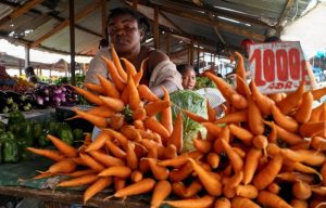 Agri-tech may be South Africa’s new frontier