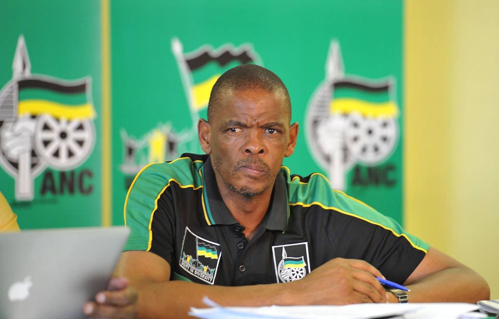 Free State provincial chairperson Ace Magashule.