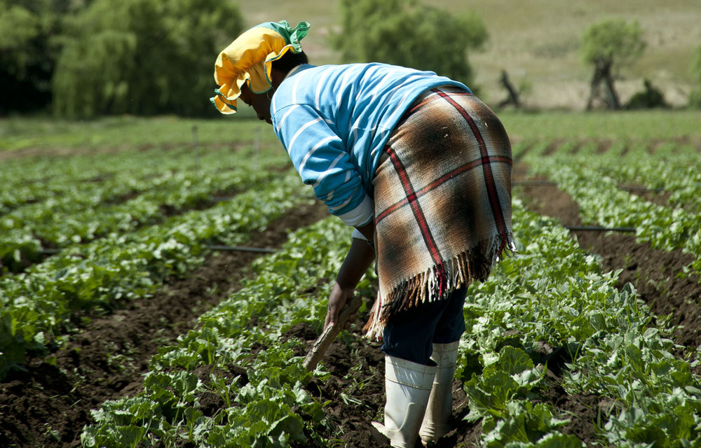 Agriculture is a smart career move