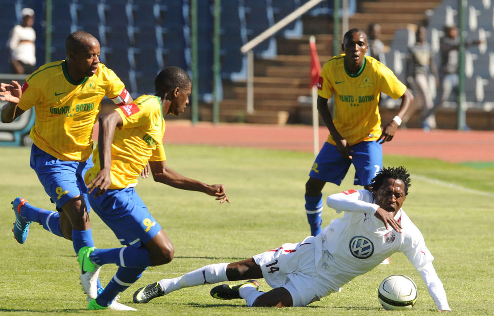 Birds fly over Sundowns