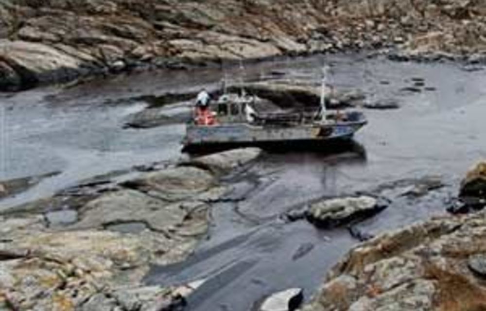 Sweden Hit By Worst Oil Spill In Years