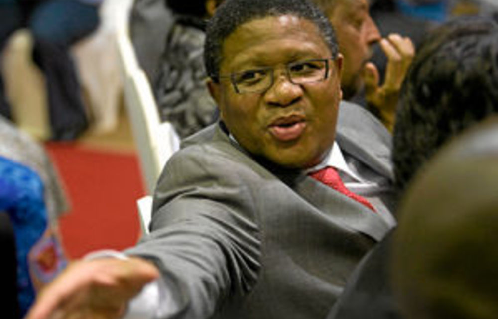 Malema-Zuma division divides ANC top six