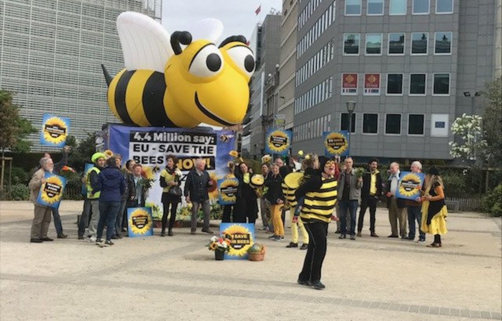 Campaigners dressed in black and yellow bee suits rallied outside the headquarters of the European Commission in Brussels ahead of the vote for a ban on three key pesticide chemicals.