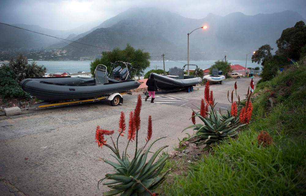 Abalone poaching forms a major part of the informal economy in Hout Bay's Hangberg community.