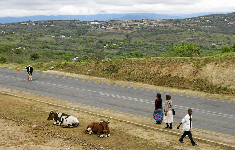 A part of the tar road that runs past the homestead of President Jacob Zuma near Nkandla.