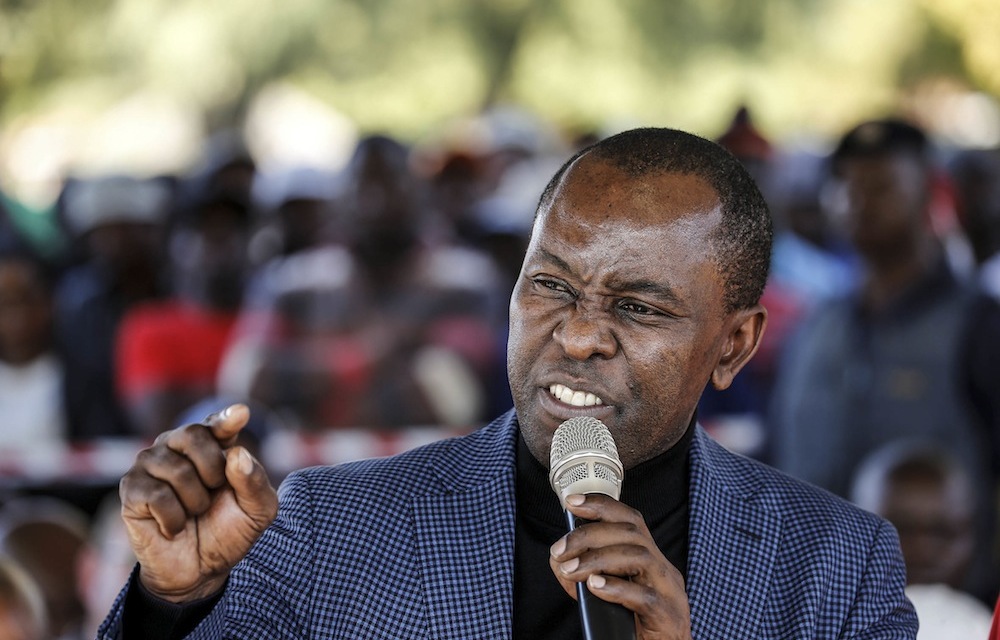 Zwane tells Zondo he didn’t know which company got Vrede dairy deal