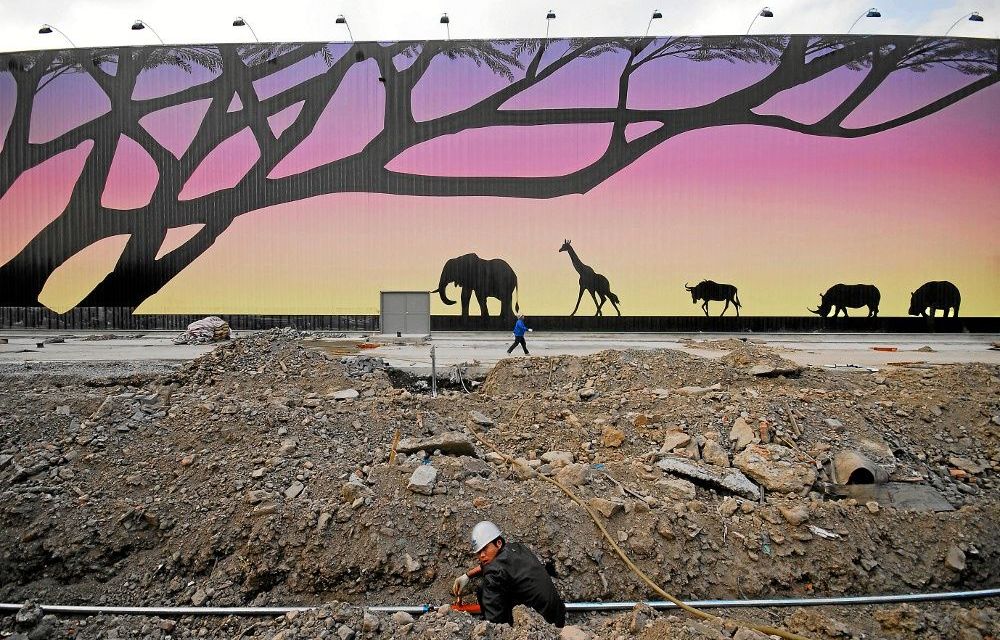 A labourer works at the construction site of the Africa pavilion at the 2010 World Expo site in Shanghai. Chinese business in Africa has drawn a lot of criticism.