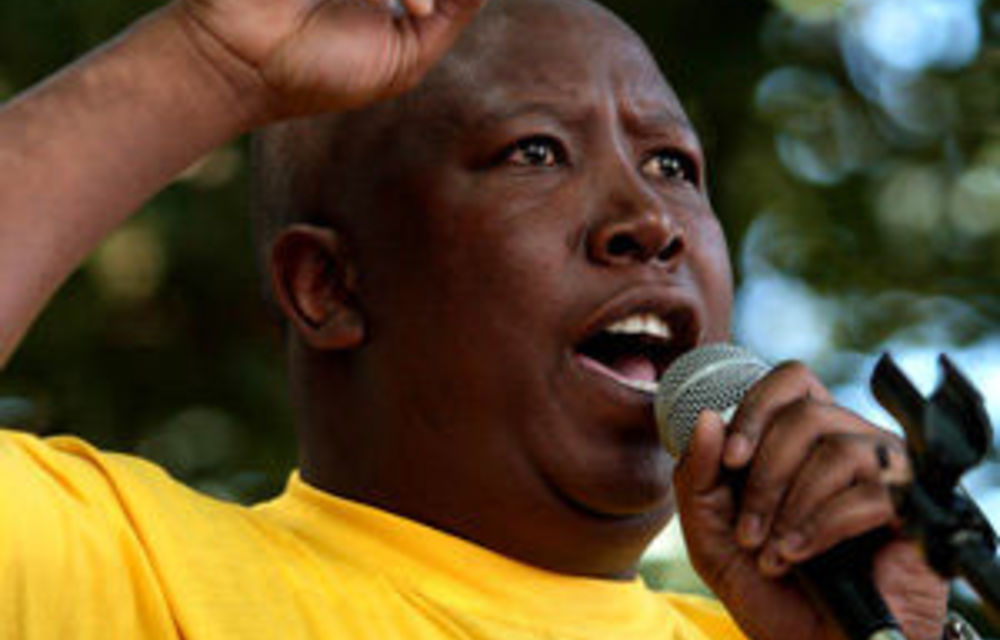 ANC backlash against Zuma for tackling Malema