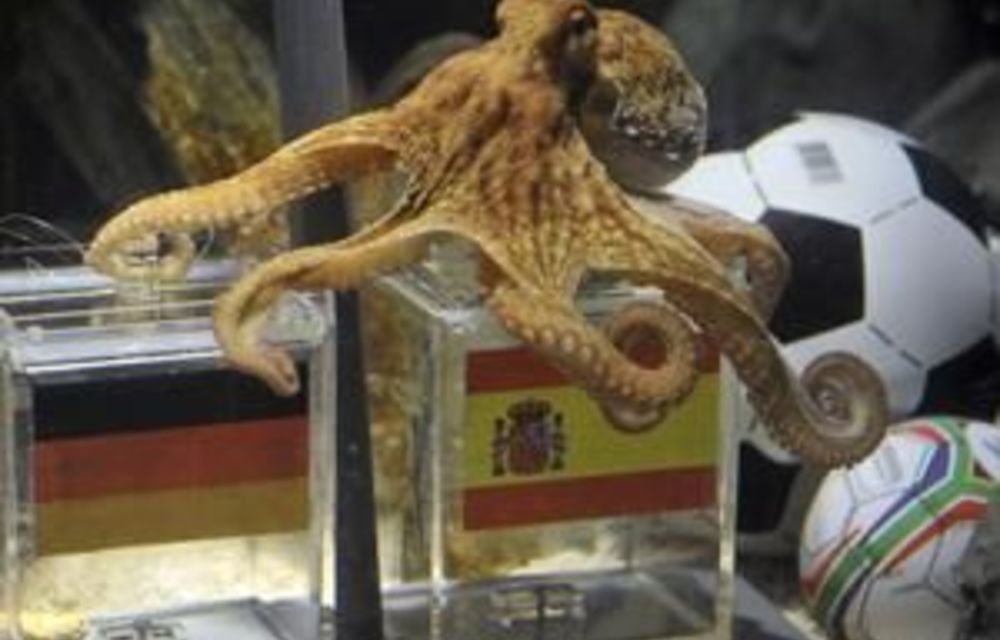 Soccer’s ‘oracle’ octopus dies