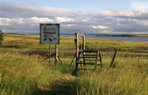 A fifth of world’s wetlands may vanish by 2050, scientists warn