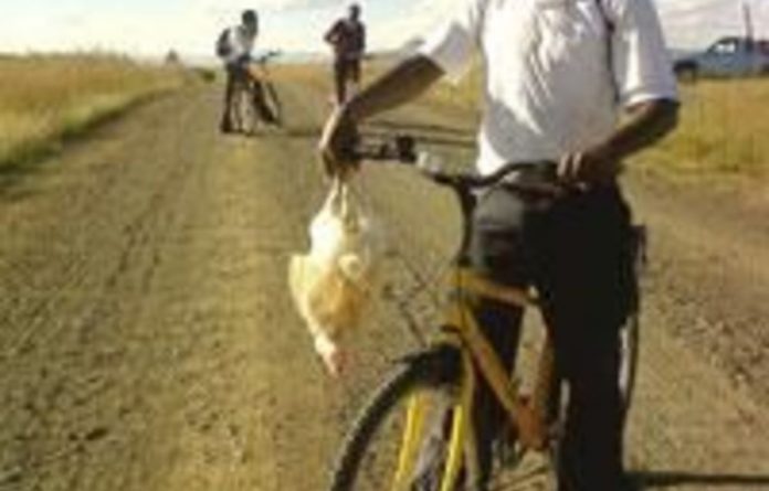 rolling roads for bikes